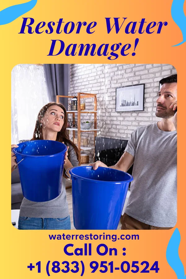 water restoration Horizon Emergency Restoration Inc Weston